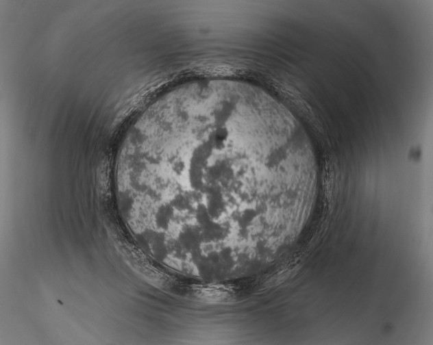 X0000115610359200912011556