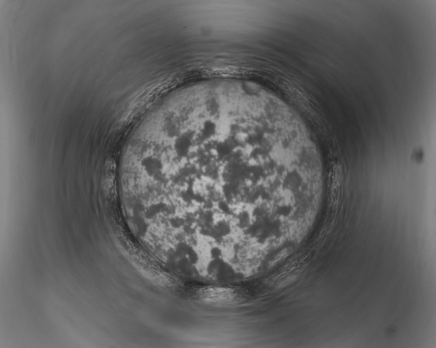 X0000115610361200912011556