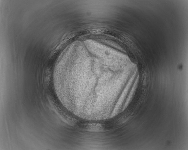 X0000115610363200912011556
