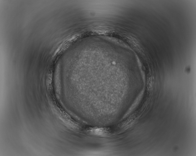 X0000115610365200912011556