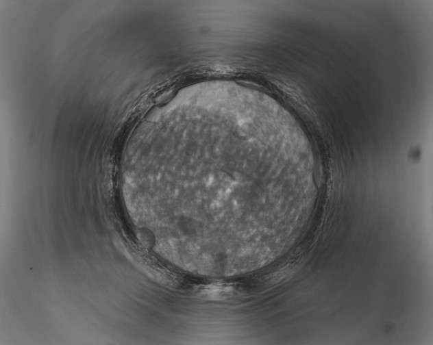 X0000115610366200912011556