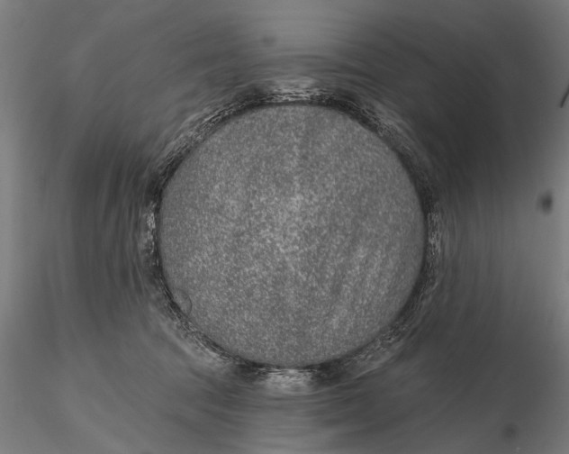 X0000115610369200912011556