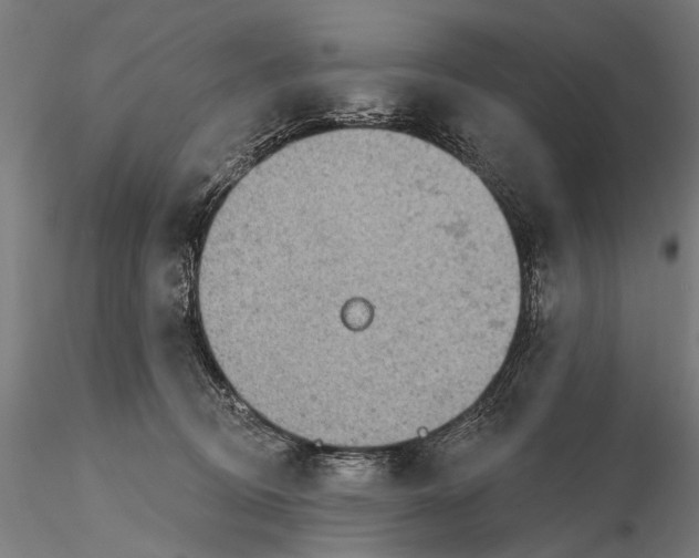 X0000115610370200912011556