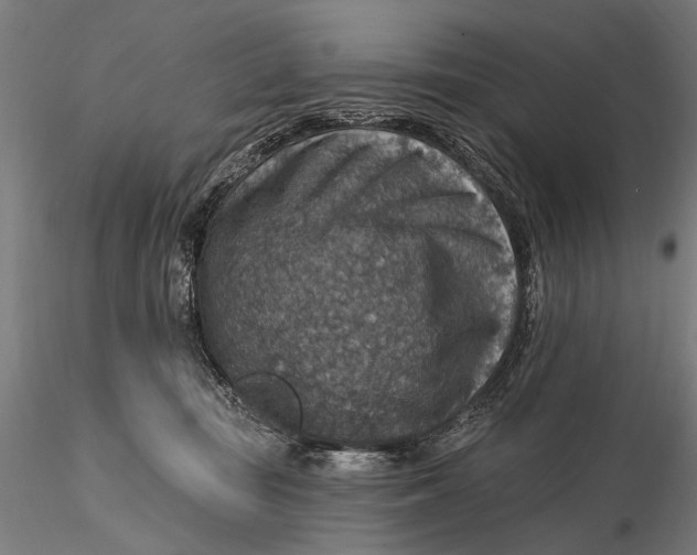 X0000115610371200912011556