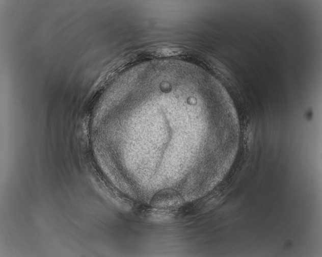 X0000115610373200912011557