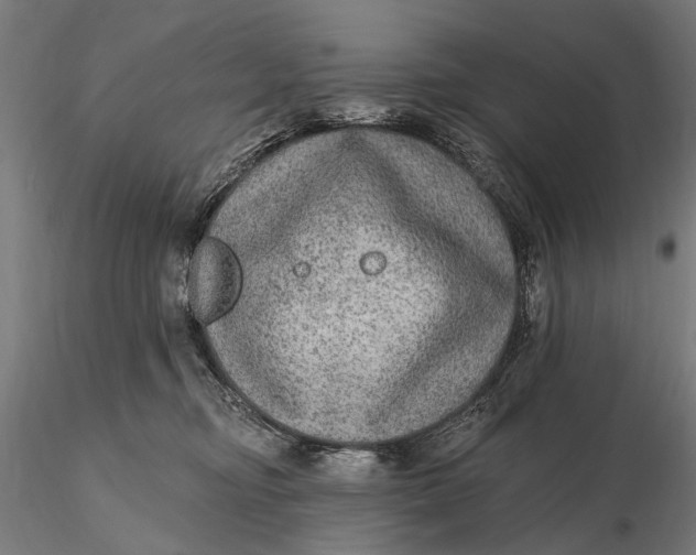 X0000115610374200912011557