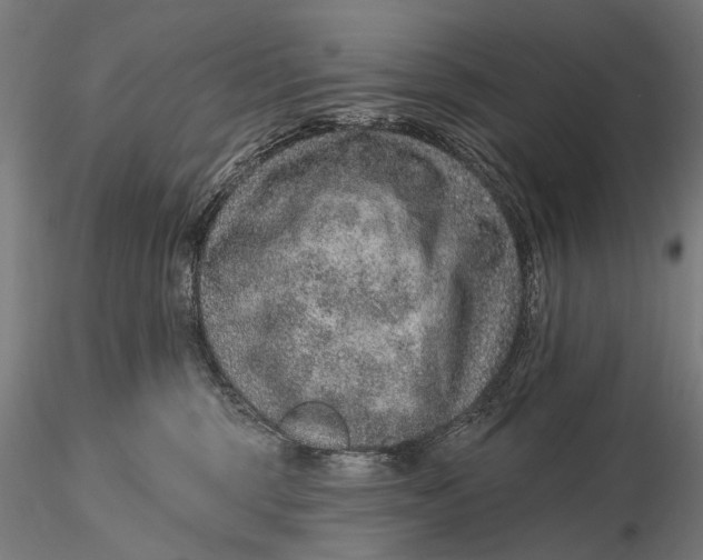 X0000115610375200912011557