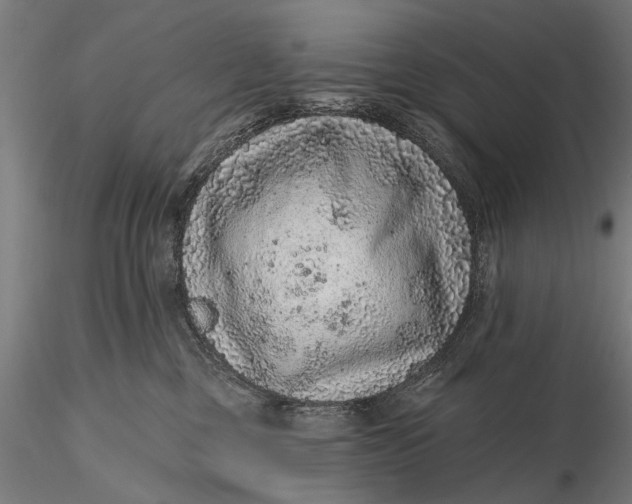 X0000115610377200912011557