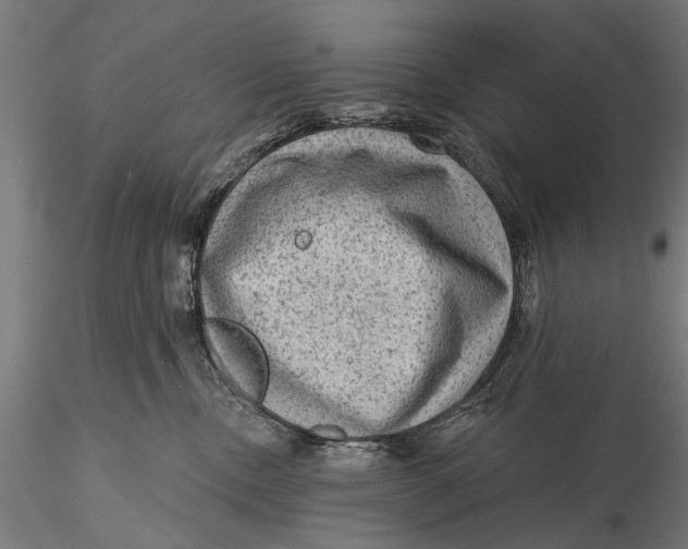 X0000115610378200912011557