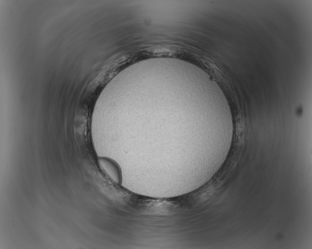 X0000115610379200912011557