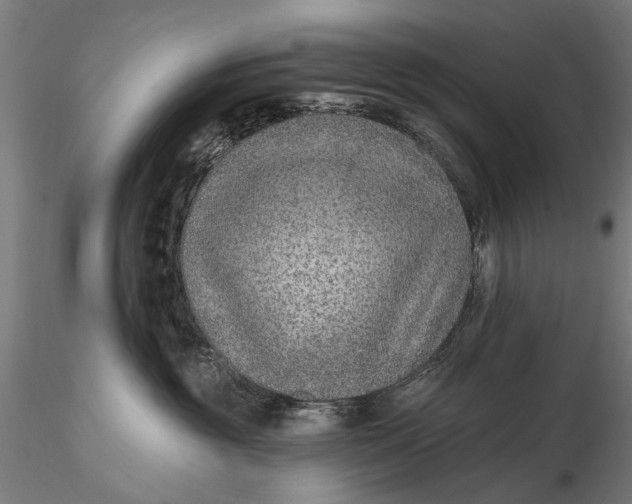 X0000115610381200912011557