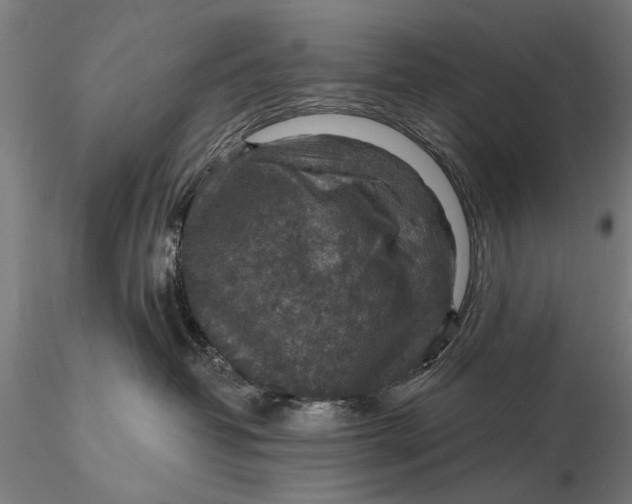 X0000115610382200912011557
