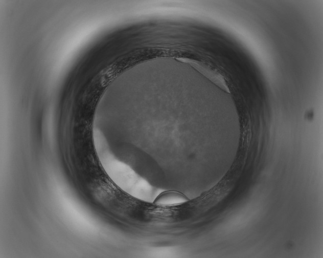 X0000115610383200912011557