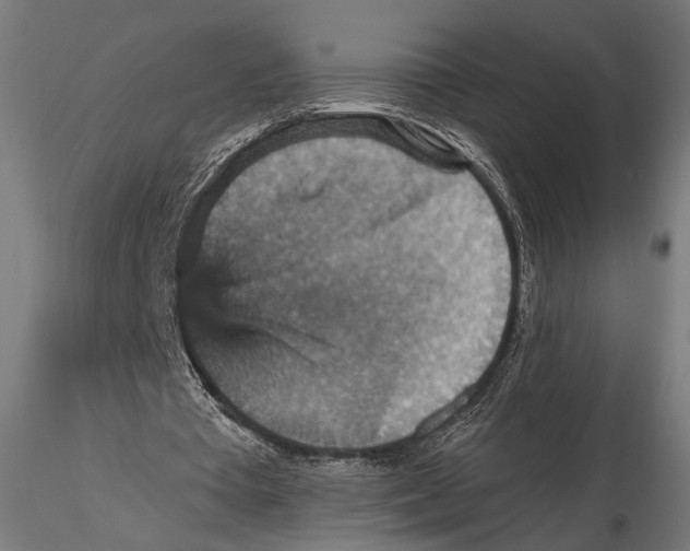X0000115610385200912011556