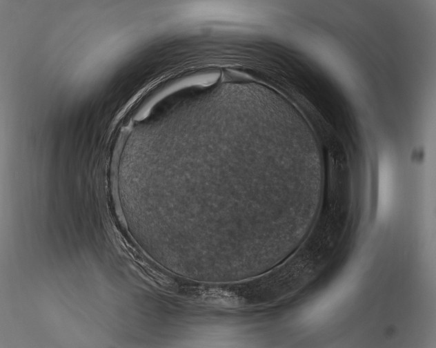 X0000115610387200912011556