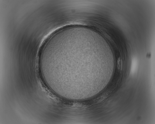 X0000115610388200912011556