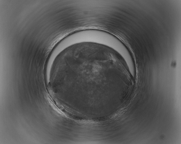 X0000115610389200912011556