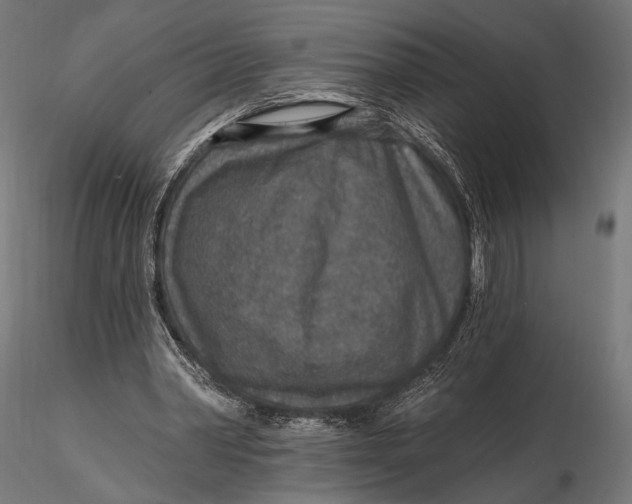 X0000115610390200912011556