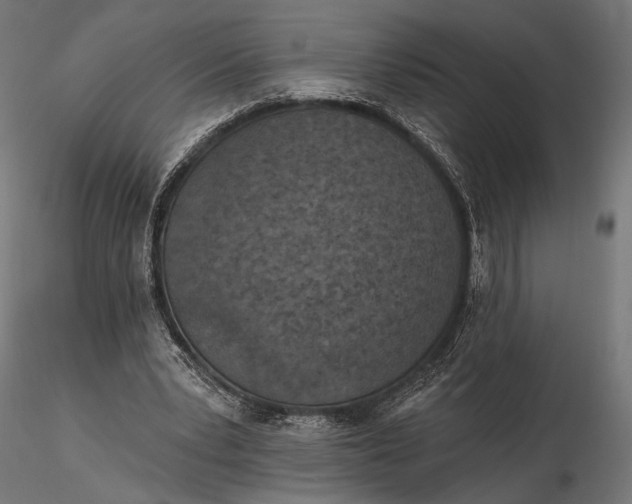 X0000115610391200912011556
