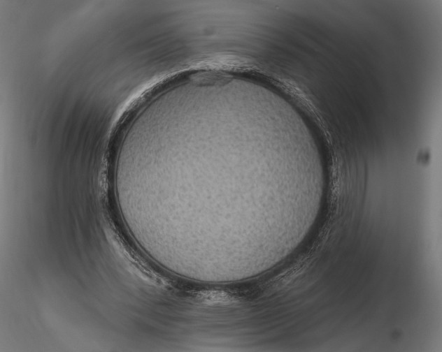 X0000115610392200912011556