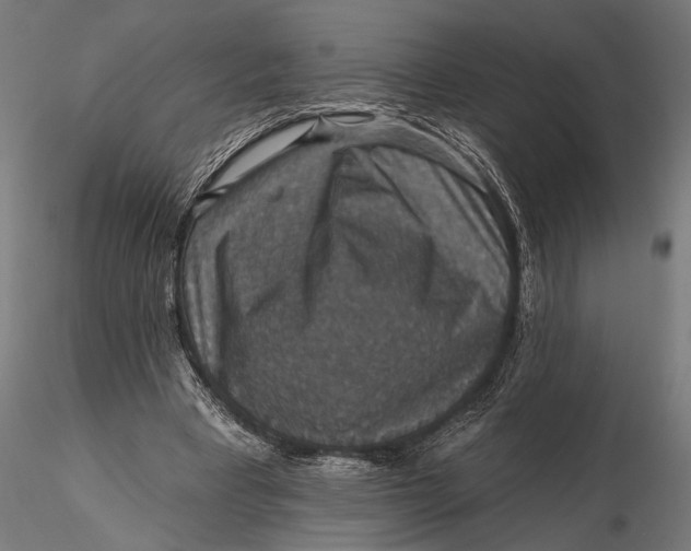 X0000115610393200912011556
