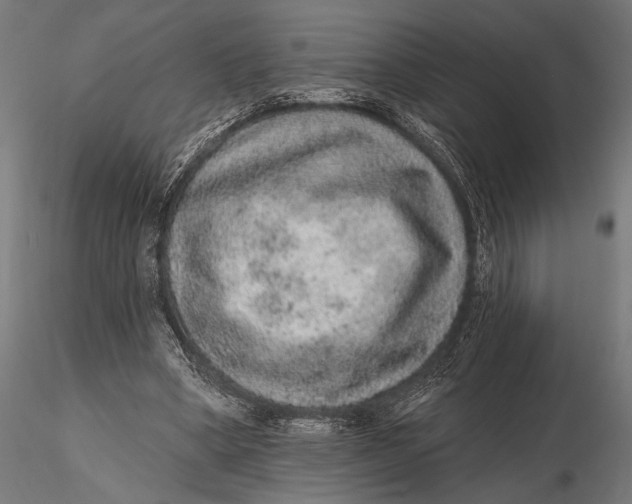 X0000115610394200912011556