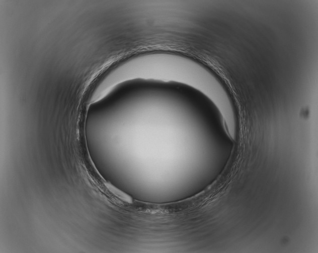 X0000115610395200912011556