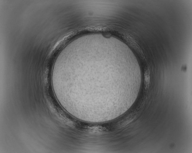 X0000115610396200912011556