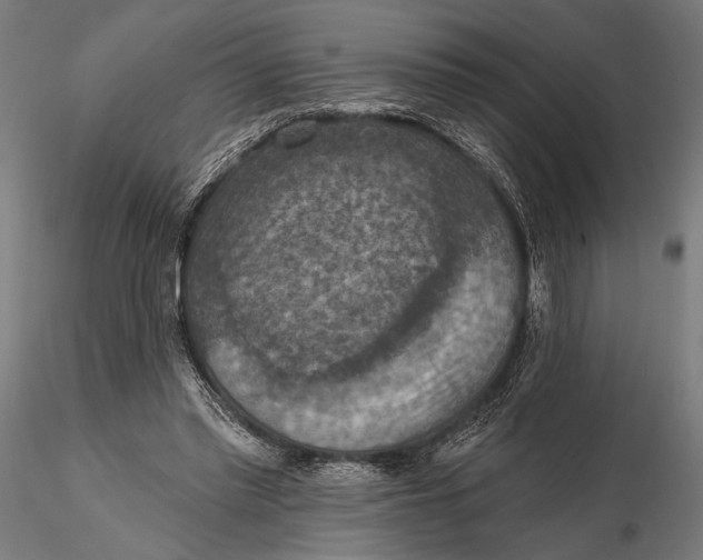 X0000115610397200912011556