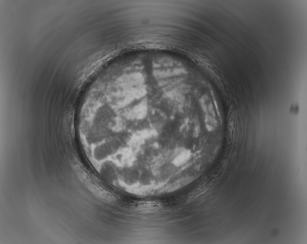 X0000115610398200912011556