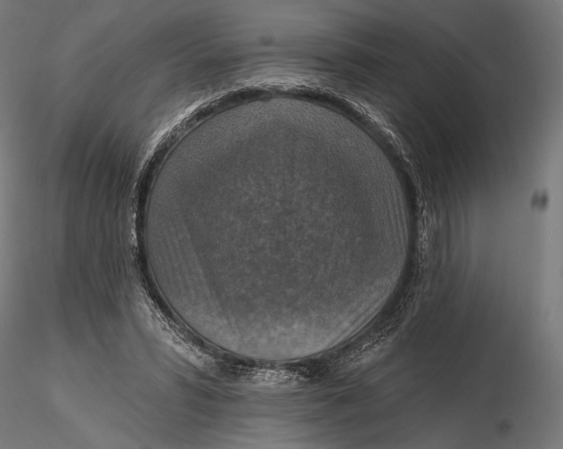 X0000115610399200912011556