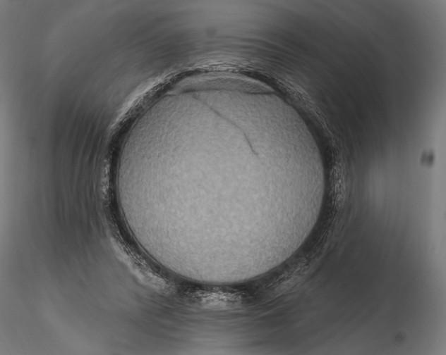 X0000115610400200912011556