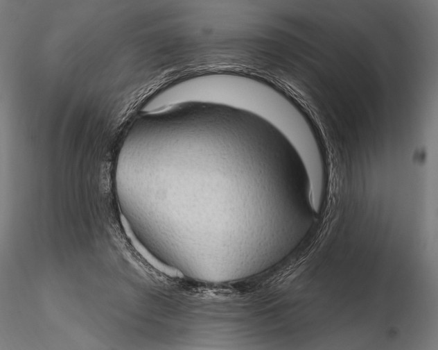 X0000115610401200912011556