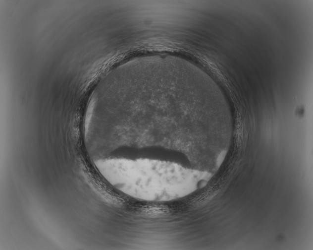 X0000115610402200912011556