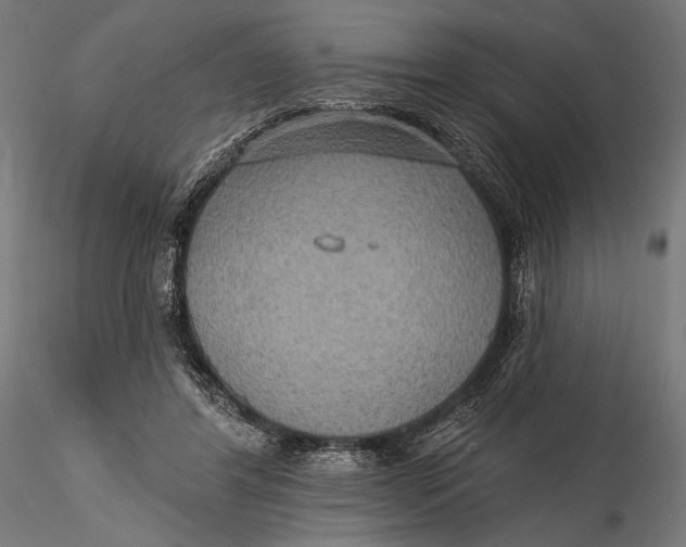 X0000115610404200912011556