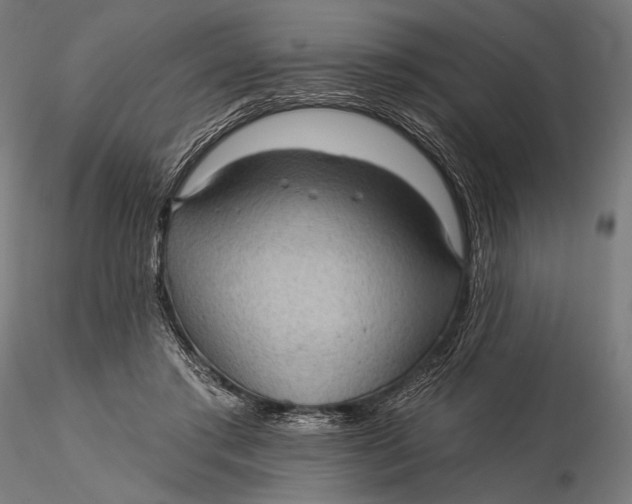 X0000115610405200912011556