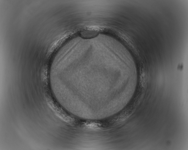 X0000115610407200912011556