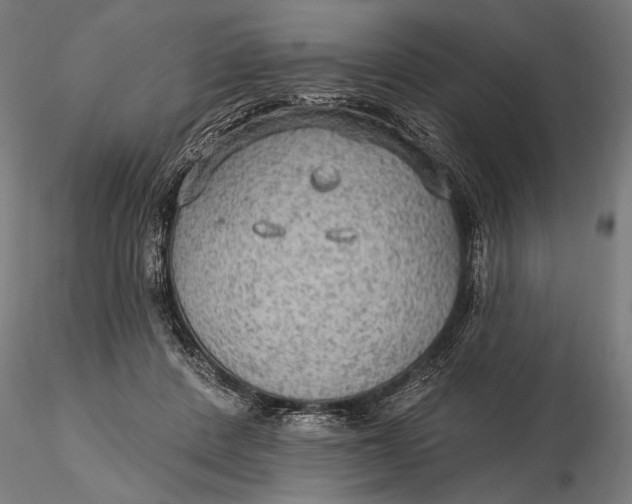 X0000115610408200912011556