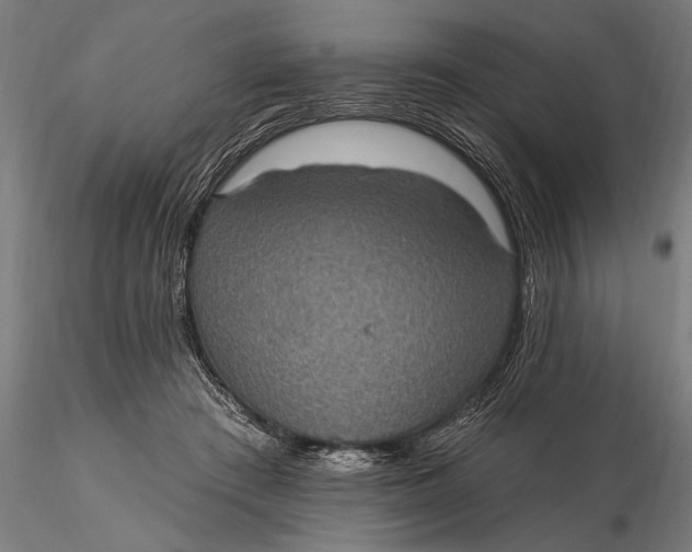 X0000115610409200912011556