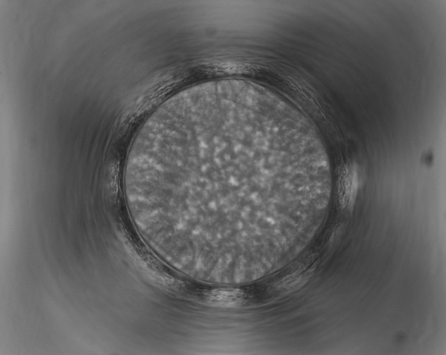 X0000115610410200912011555