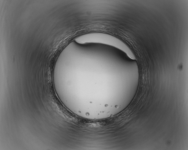 X0000115610411200912011555