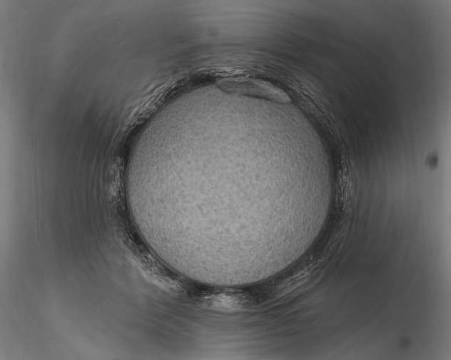 X0000115610412200912011555