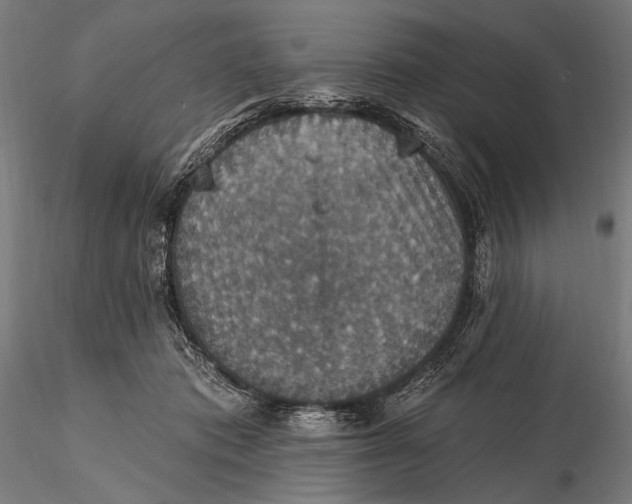 X0000115610413200912011555