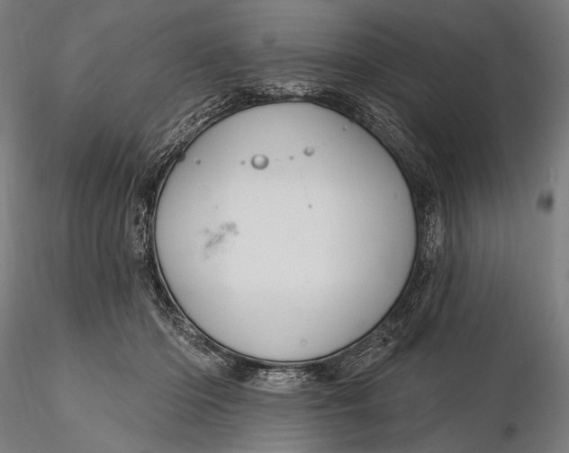 X0000115610414200912011555