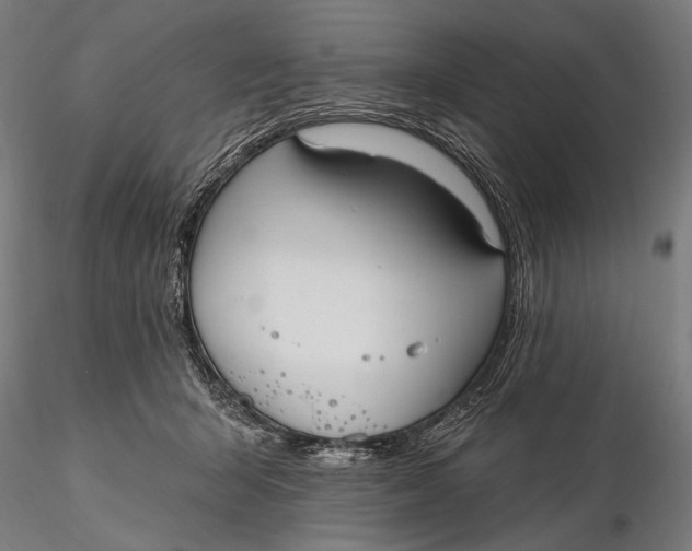 X0000115610415200912011555