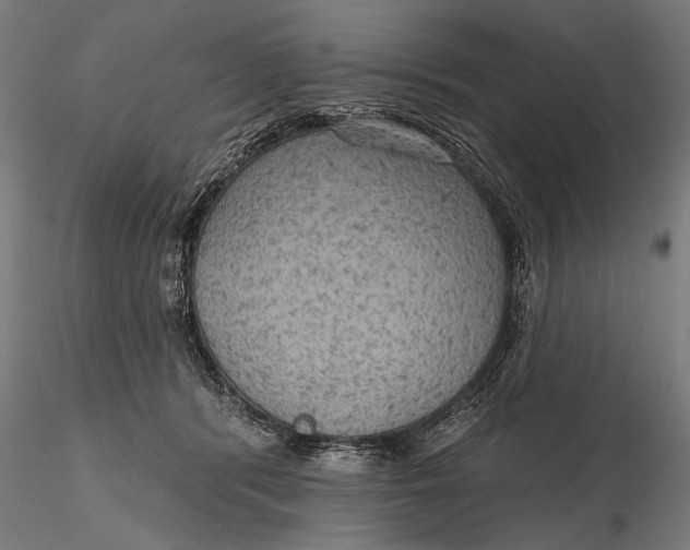 X0000115610416200912011555