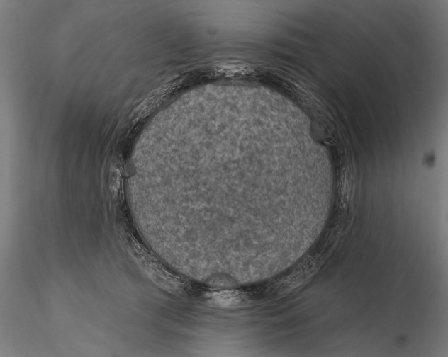 X0000115610417200912011555