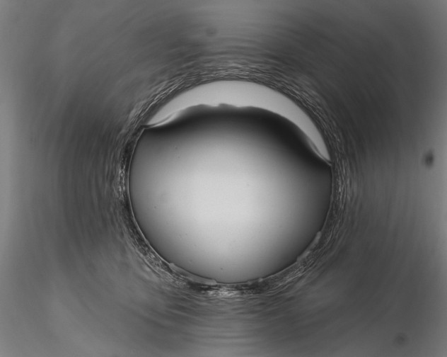 X0000115610419200912011555