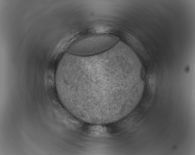X0000115610421200912011555