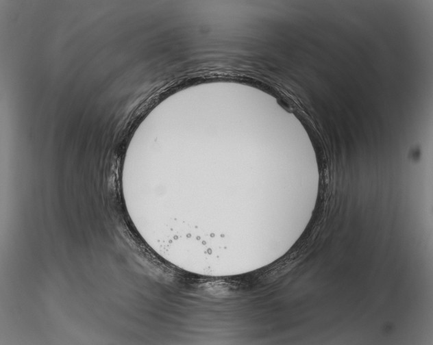 X0000115610423200912011555